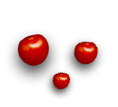 Tomates